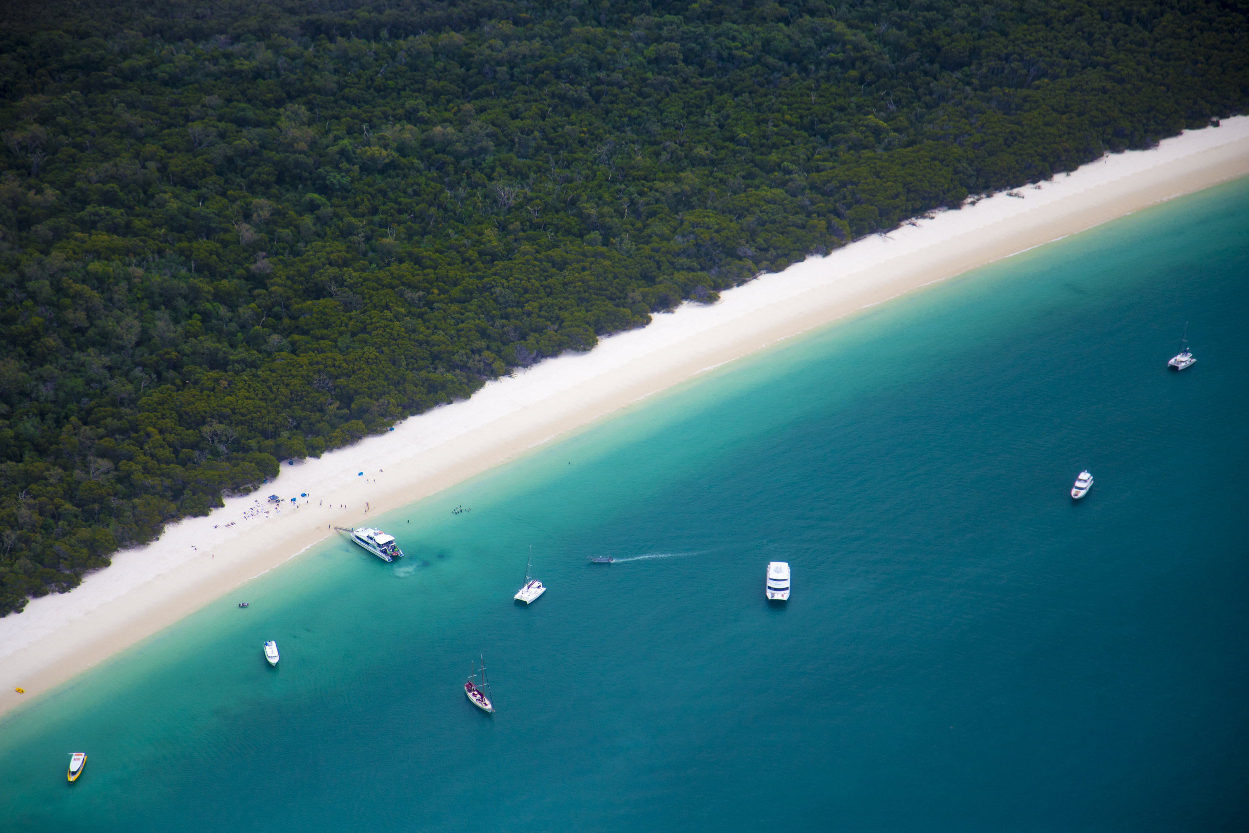 On the edge is a stunning craft. Great Barrier Reef Flight Bulb Mode