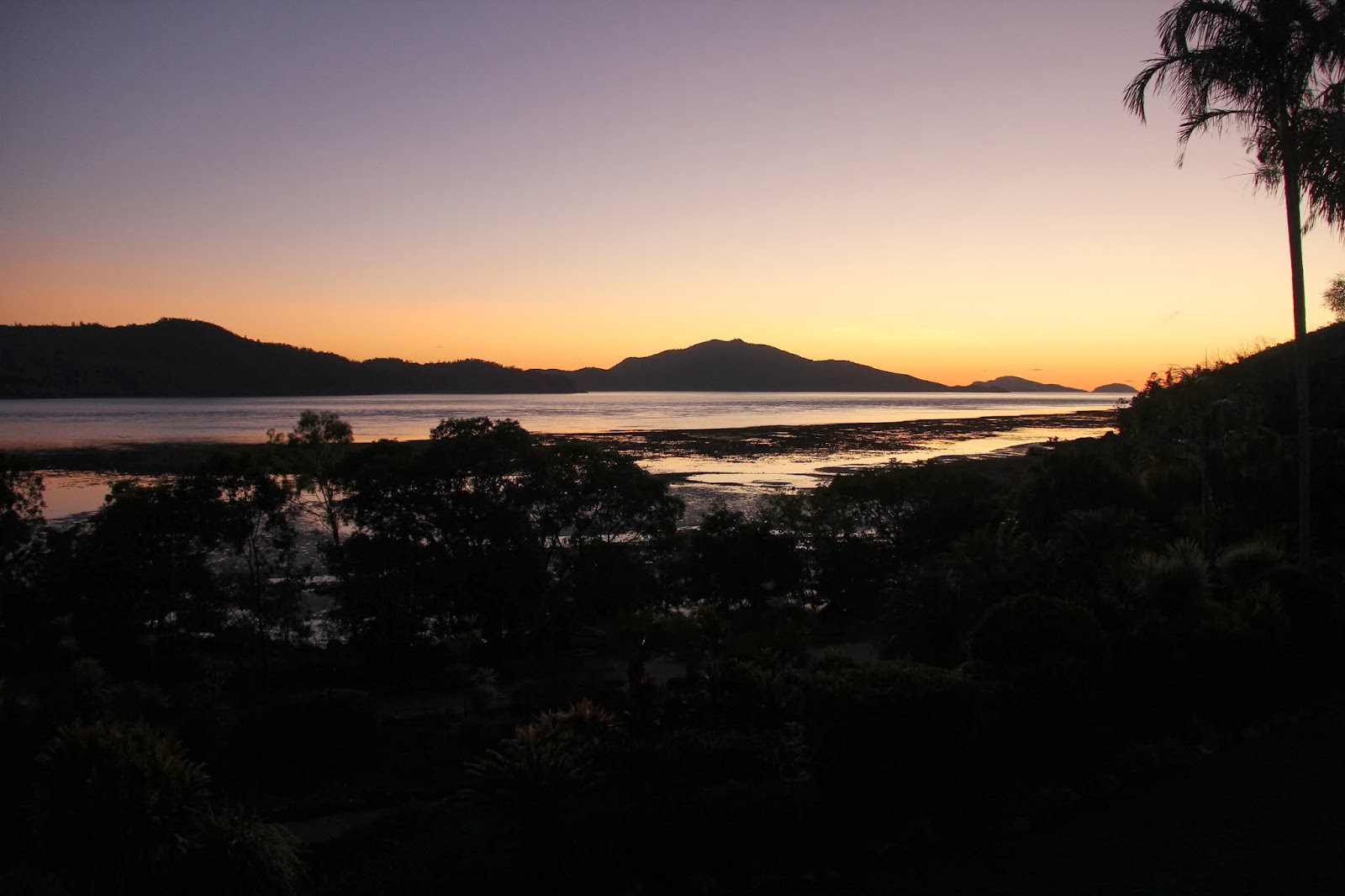 The snorkelling off the beach would. Zaydee To Australia Day 13 Hamilton Island Catseye Beach Whitehaven Beach Cockey S Snorkeling