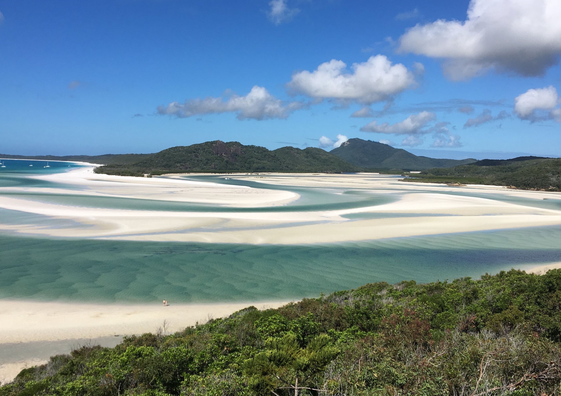 Camira sailing adventure from $209 pp · whitsunday islands & whitehaven beach half day cruise from $120 pp · whitehaven beach & hamilton island tour Sailing Whitsunday Islands Without A Sailing License Secret Travel Guide