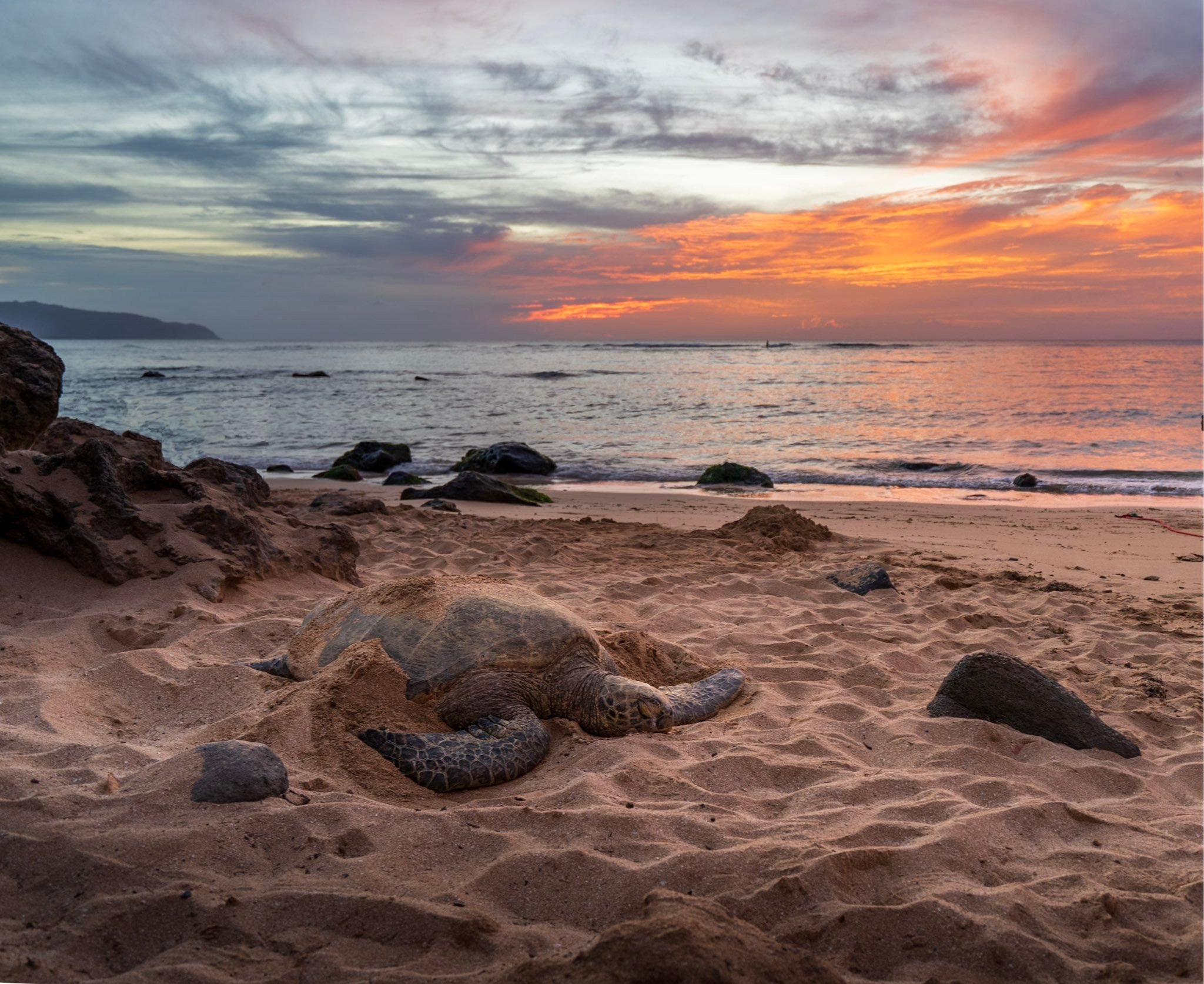 This is one of the most popular . Best Snorkeling In Oahu 6 Not To Miss Places To Explore Uprooted Traveler