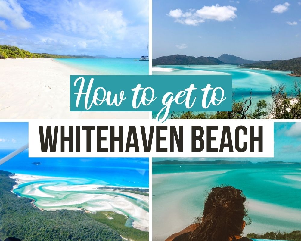 Whitehaven beach is in the great barrier reef world heritage area, fishing is prohibited and mooring regulated. Visiting Whitehaven Beach In One Day With Cruise Whitsundays