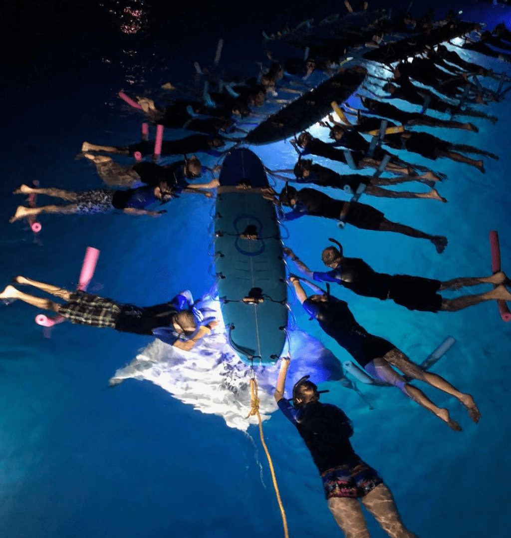 29+ Best Snorkel Tour Big&nbsp;Island