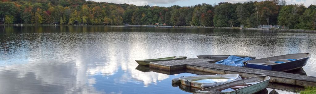 Amazing White Haven Rentals