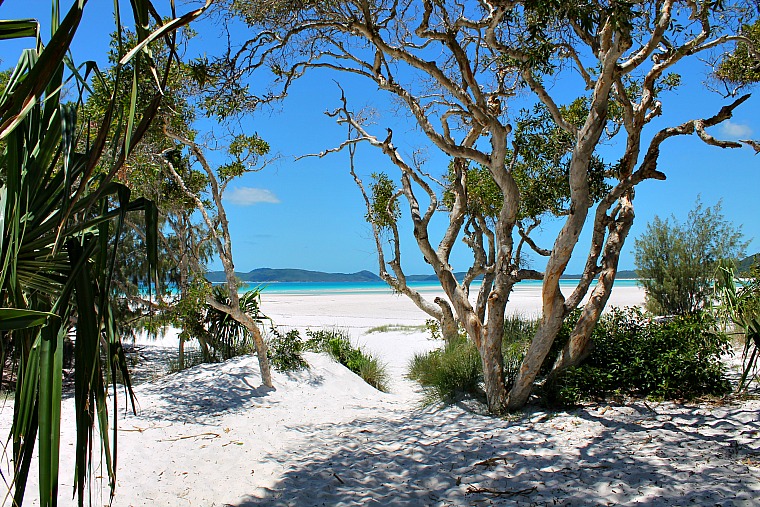 48+ Ocean Rafting Tour Whitehaven&nbsp;Beach
