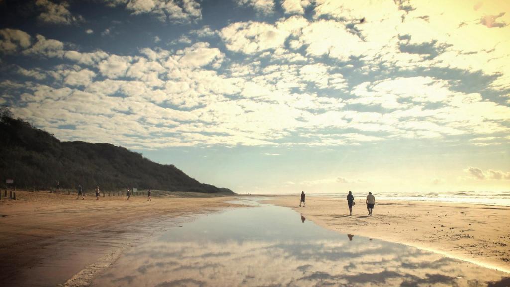 30+ Tours From Cairns To Whitehaven&nbsp;Beach