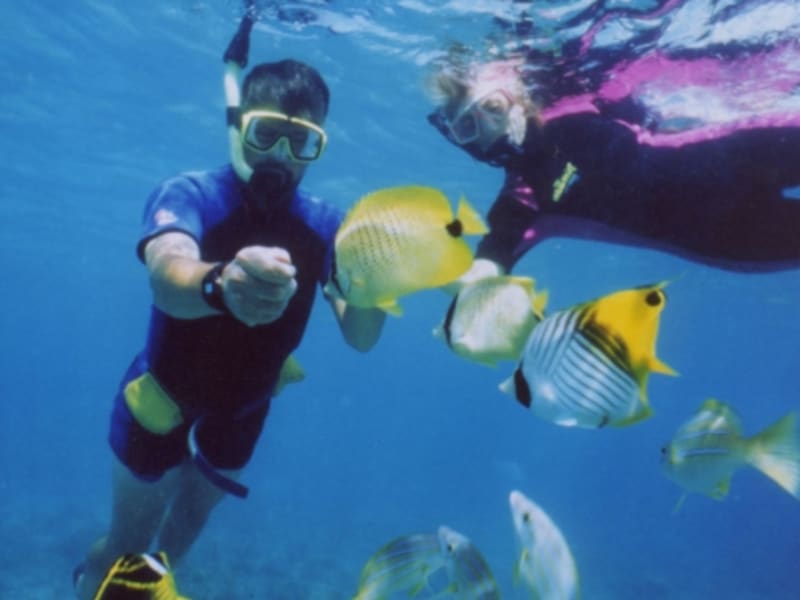 31+ Best Beach Snorkeling&nbsp;Kauai